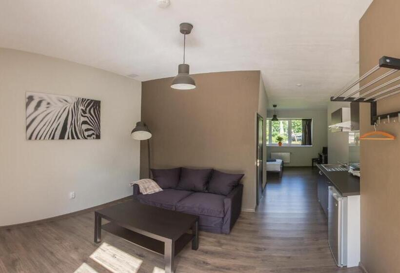 스탠다드 스튜디오, Glūdas Grava