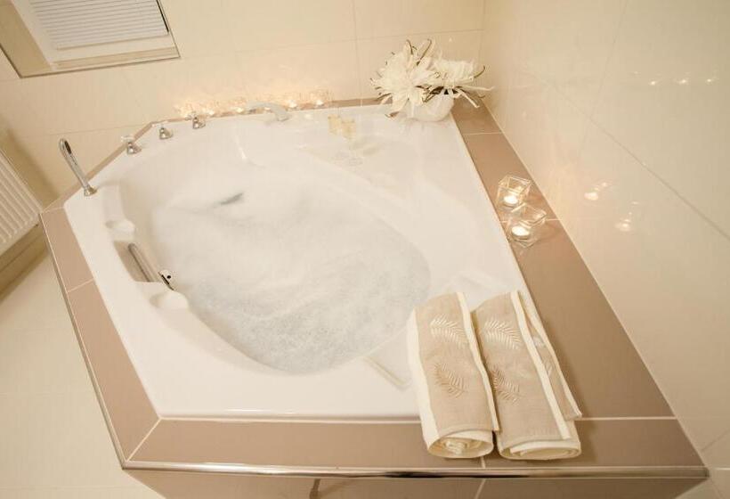 スタンダードルーム, Penzion Olomouc