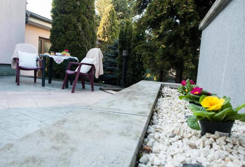 テラス付き１ベッドルームアパートメント, Penzion Olomouc