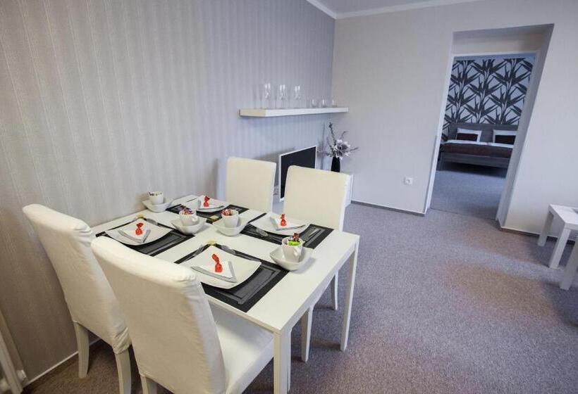 テラス付き１ベッドルームアパートメント, Penzion Olomouc