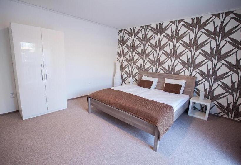 テラス付き１ベッドルームアパートメント, Penzion Olomouc