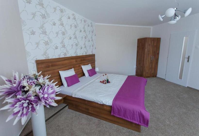 ２ベッドルームアパートメント, Penzion Olomouc