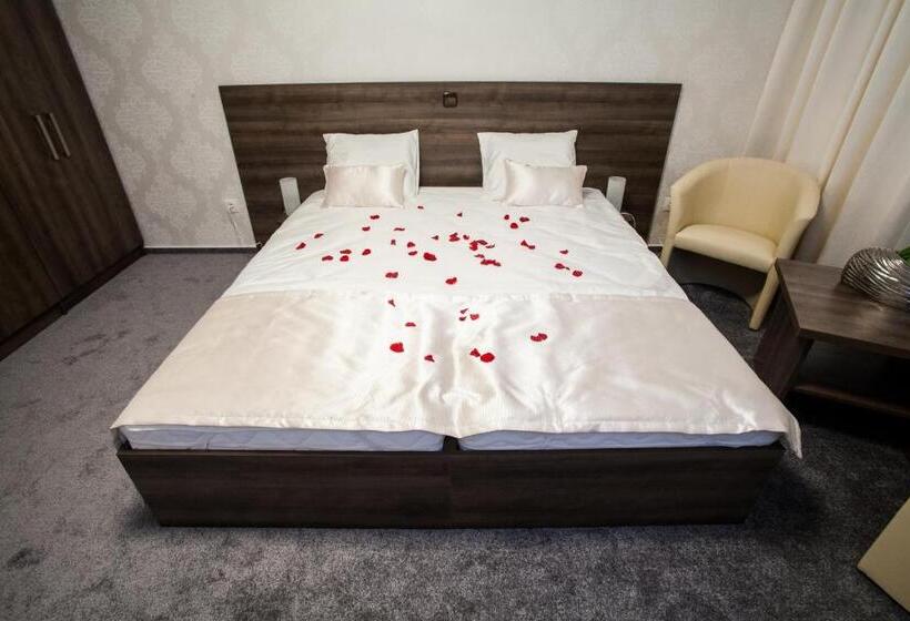 スタンダードルーム, Penzion Olomouc