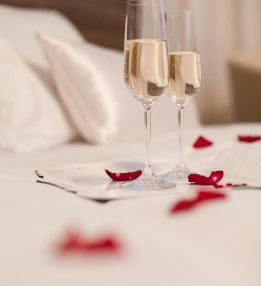 スタンダードルーム, Penzion Olomouc