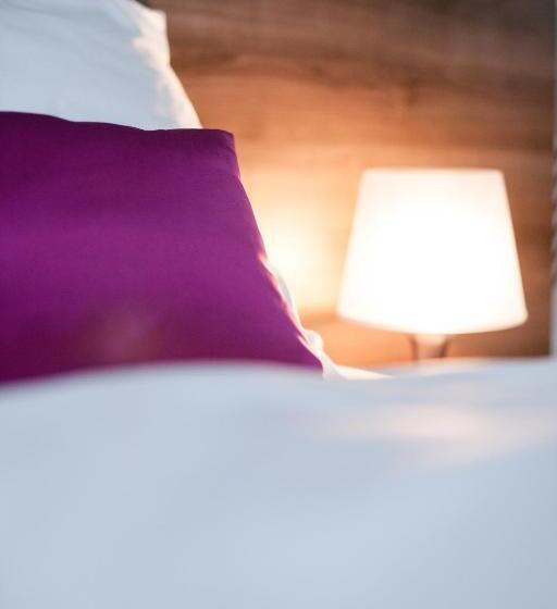 スタンダードルーム, Penzion Olomouc