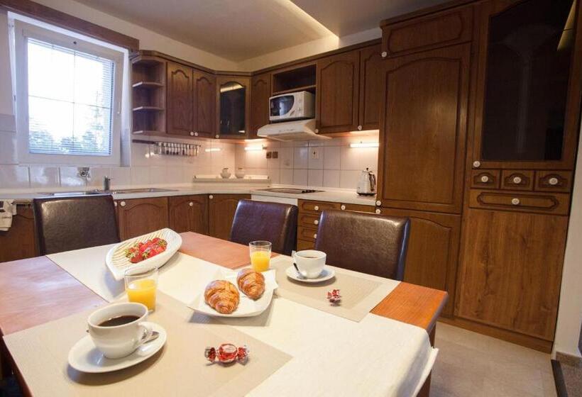 ２ベッドルームアパートメント, Penzion Olomouc