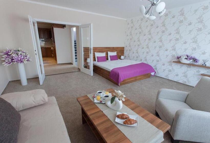 ２ベッドルームアパートメント, Penzion Olomouc