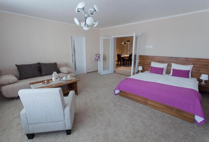 ２ベッドルームアパートメント, Penzion Olomouc