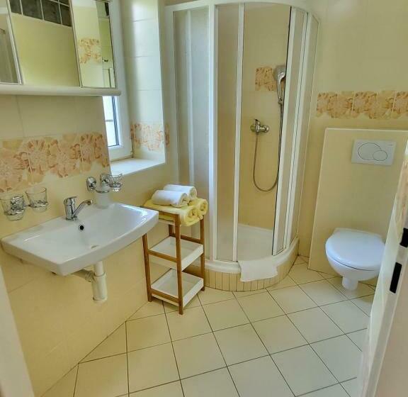 스탠다드 룸, Penzion Ostravanka