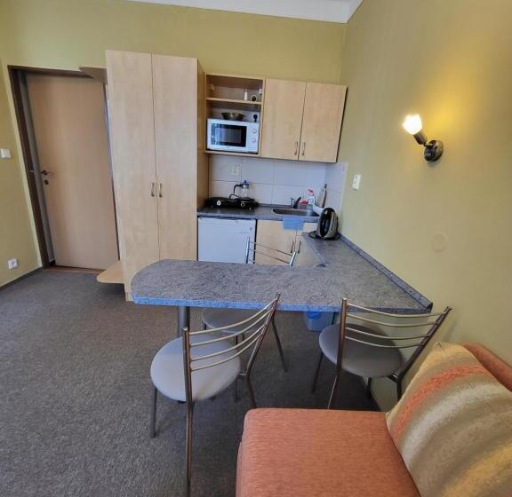 스탠다드 스튜디오, Penzion Ostravanka