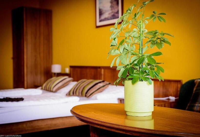 Номер Стандарт, Penzion Pod Kašnou