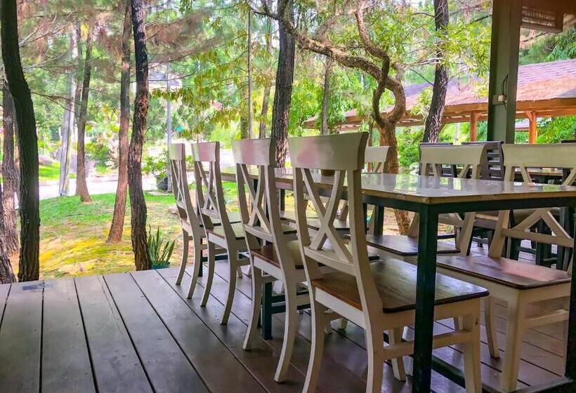 スーペリアールーム, New Green Sentul Resort