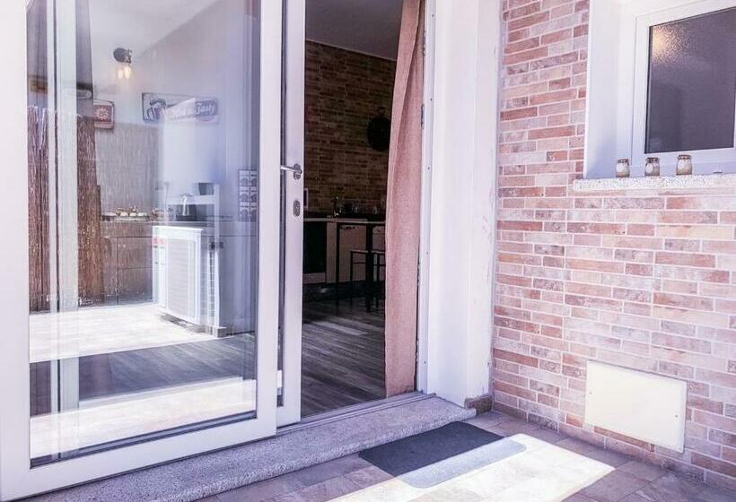 Номер Стандарт, Bb 26 Olbia
