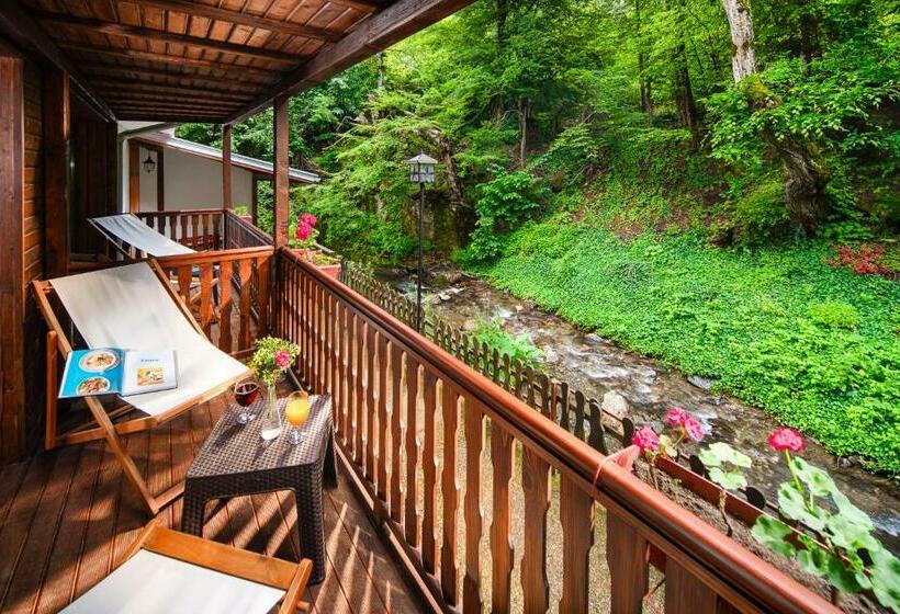 חדר סטנדרט עם מרפסת, Alfaresort Thermal Chiflika