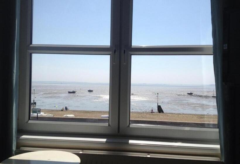 غرفة إدارية مطلة على البحر, Camelia