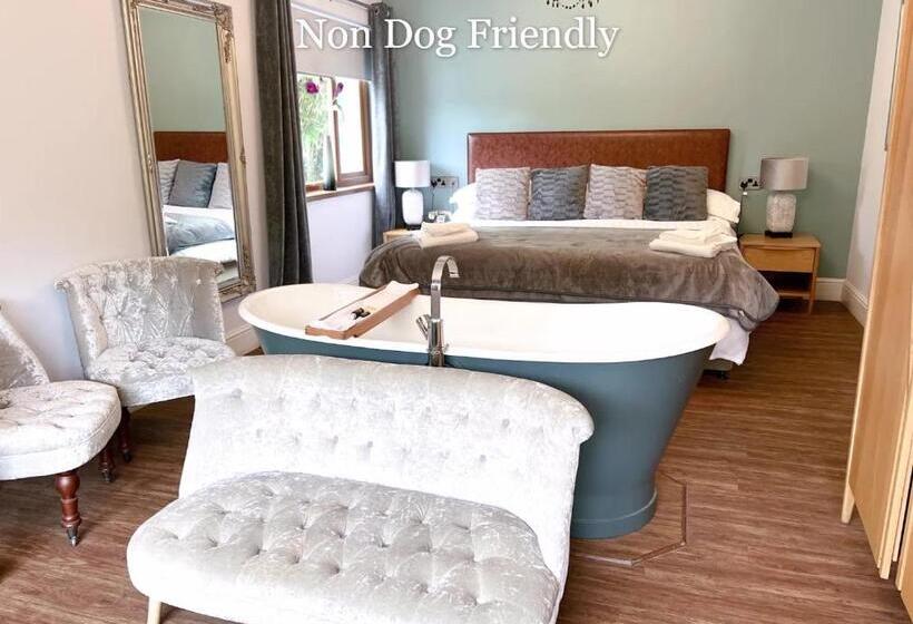 수피리어 룸, The Gower