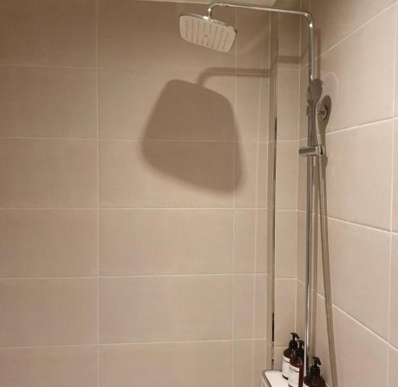 豪华房间, Browndot Hotel Songtan