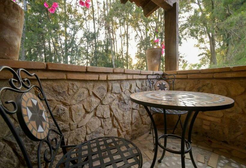 Апартаменты 1 Спальня, Villa Toscana Valquirico Lofts & Suites Hotel Boutique