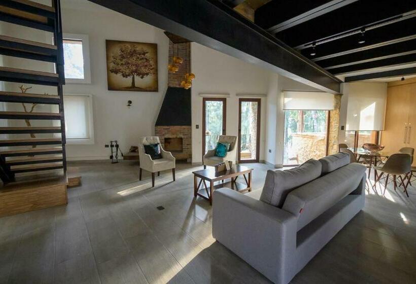 Апартаменты 1 Спальня, Villa Toscana Valquirico Lofts & Suites Hotel Boutique