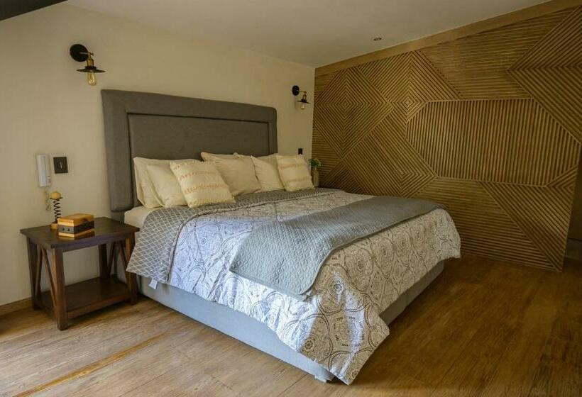 Апартаменты 1 Спальня, Villa Toscana Valquirico Lofts & Suites Hotel Boutique