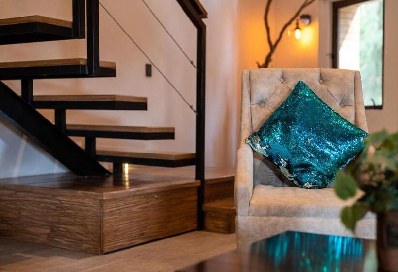 Апартаменты 1 Спальня, Villa Toscana Valquirico Lofts & Suites Hotel Boutique