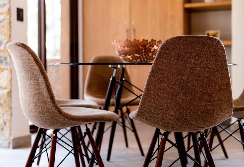 Апартаменты 1 Спальня, Villa Toscana Valquirico Lofts & Suites Hotel Boutique