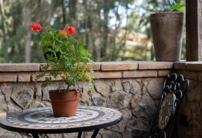 Апартаменты 1 Спальня, Villa Toscana Valquirico Lofts & Suites Hotel Boutique