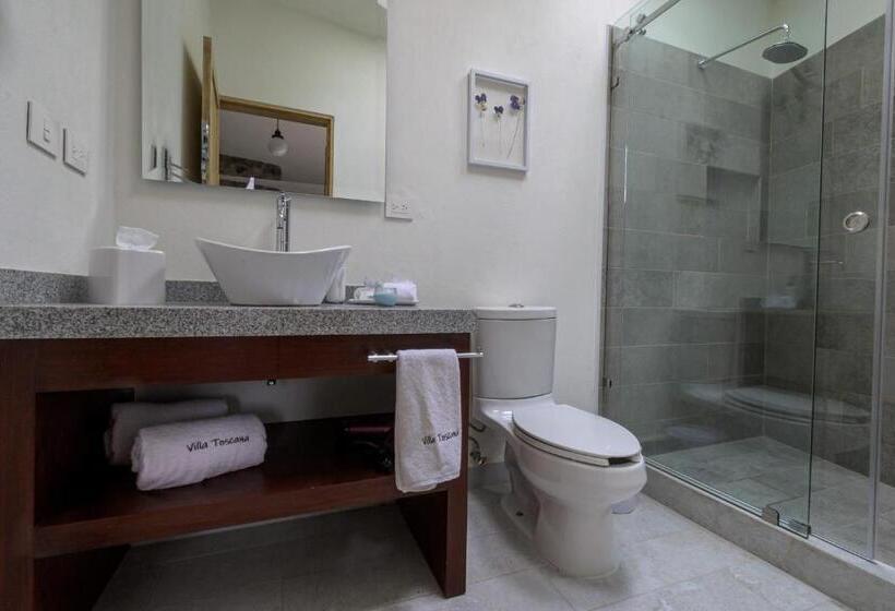 Люкс Повышенной Комфортности, Villa Toscana Valquirico Lofts & Suites Hotel Boutique