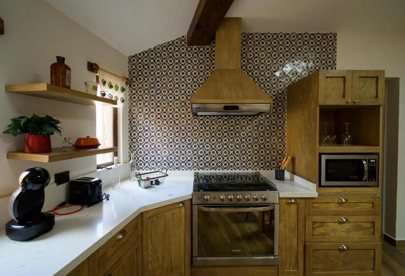 Апартаменты 1 Спальня, Villa Toscana Valquirico Lofts & Suites Hotel Boutique