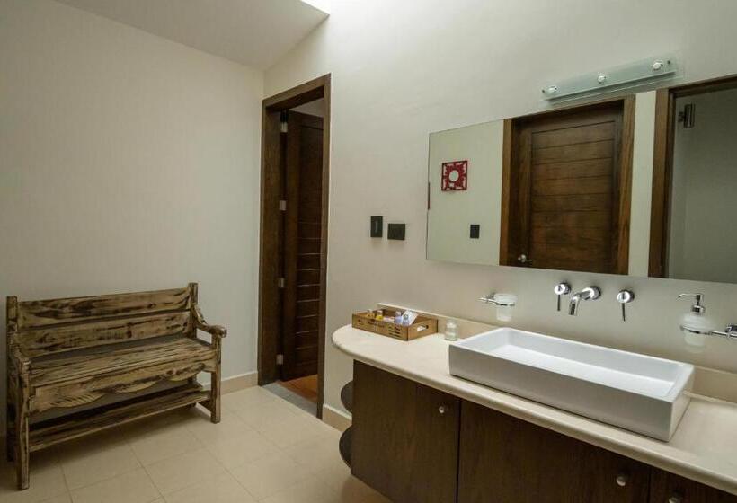 Апартаменты 1 Спальня, Villa Toscana Valquirico Lofts & Suites Hotel Boutique