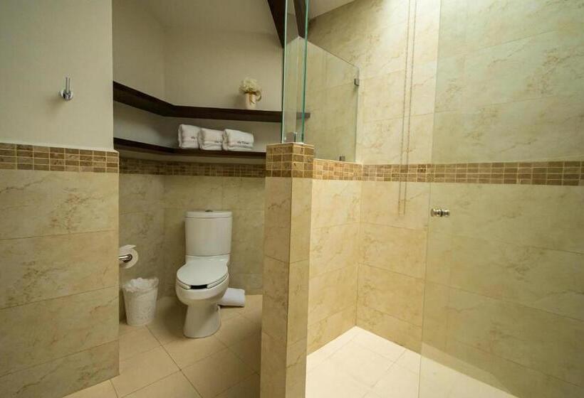 １ベッドルームアパートメント, Villa Toscana Valquirico Lofts & Suites Hotel Boutique