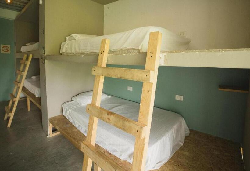 공동 객실, The Journey Hostel