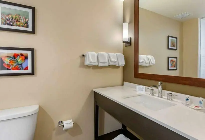 Sviitti King-vuode, Comfort Suites Albuquerque Airport