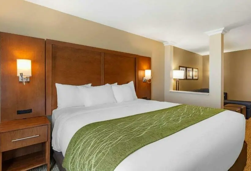 Sviitti King-vuode, Comfort Suites Albuquerque Airport
