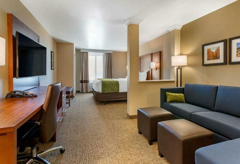 带大床的套房, Comfort Suites Albuquerque Airport