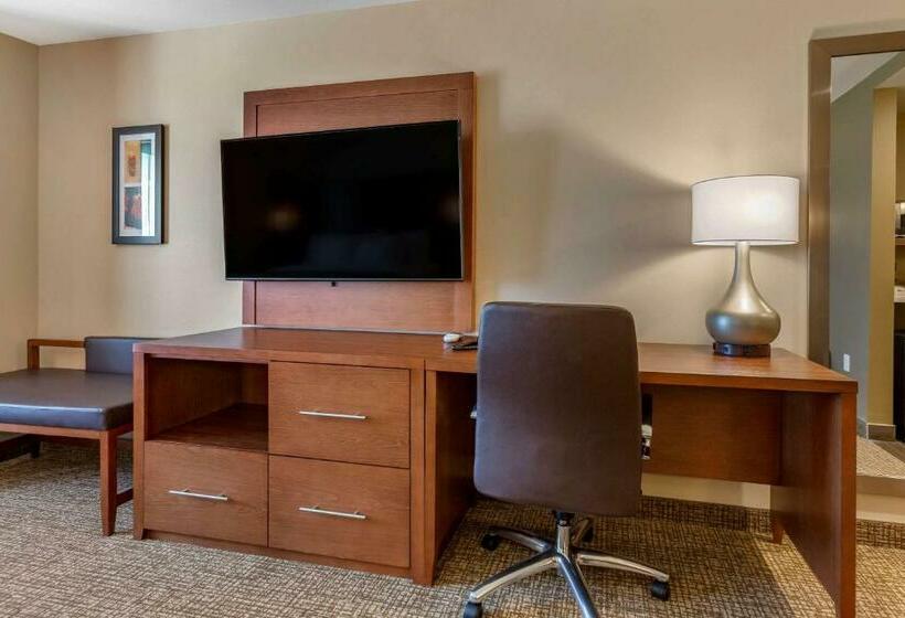带大床的套房, Comfort Suites Albuquerque Airport