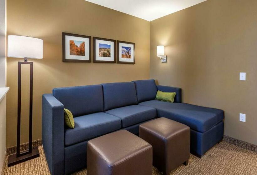 带大床的套房, Comfort Suites Albuquerque Airport
