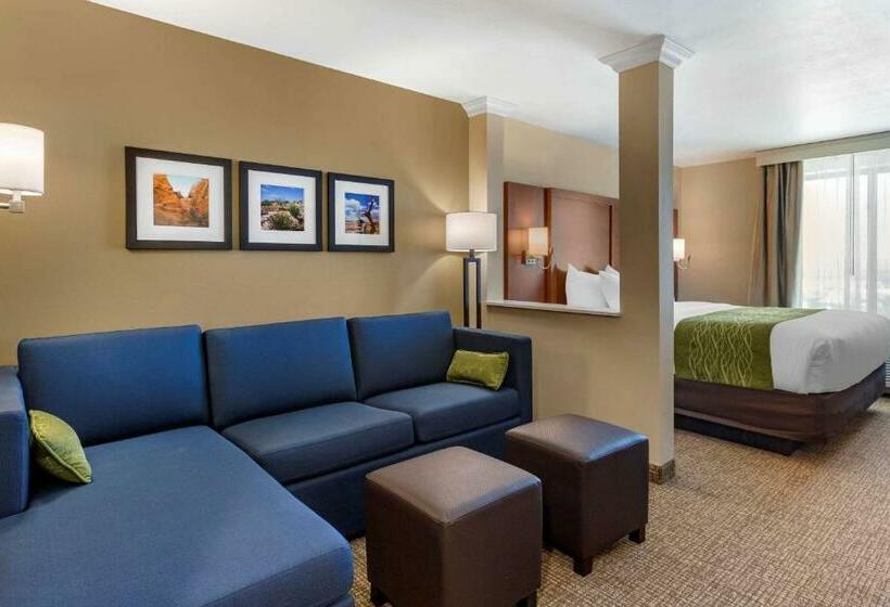 带大床的套房, Comfort Suites Albuquerque Airport