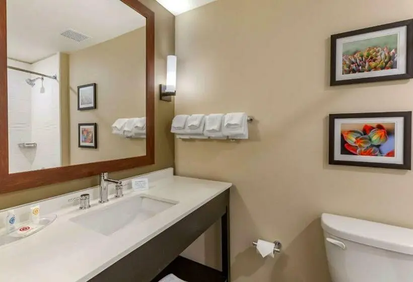 Sviitti, Comfort Suites Albuquerque Airport
