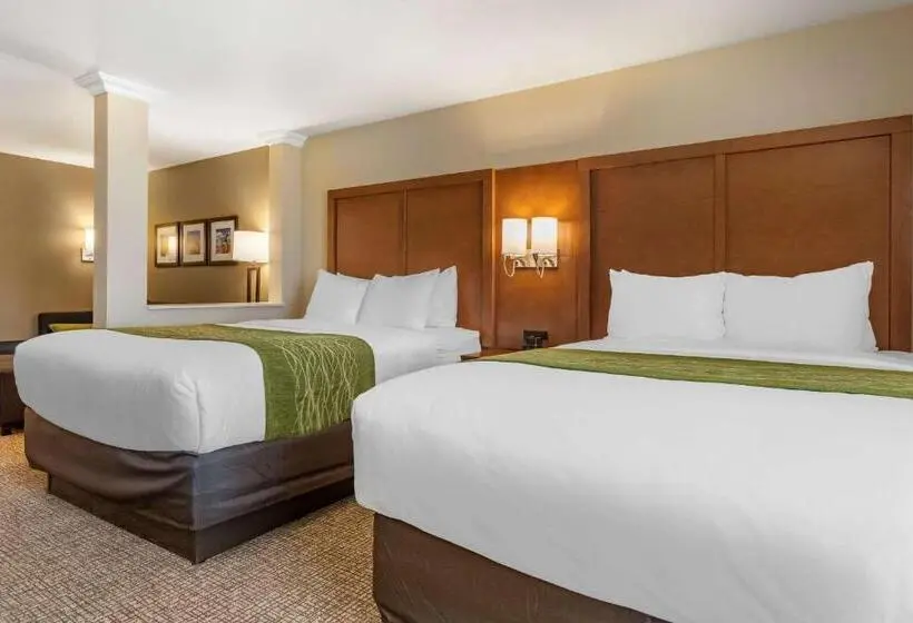 Sviitti, Comfort Suites Albuquerque Airport