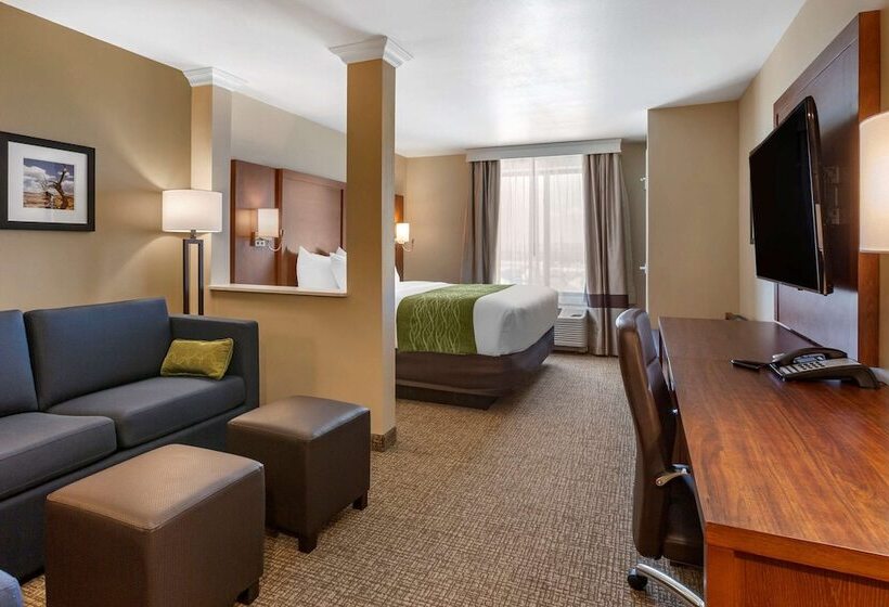 套房, Comfort Suites Albuquerque Airport