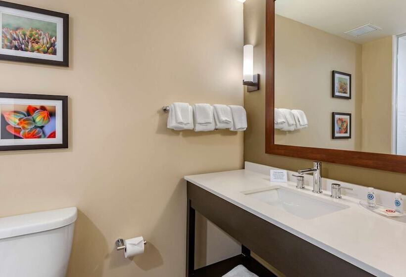 套房, Comfort Suites Albuquerque Airport