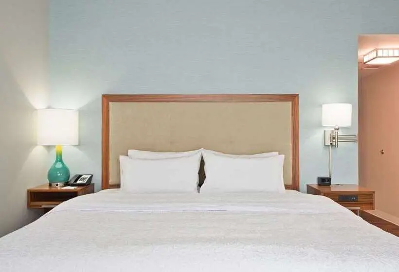 اتاق استاندارد با تخت بزرگ, Hampton Inn Buffalo Amherst, Ny