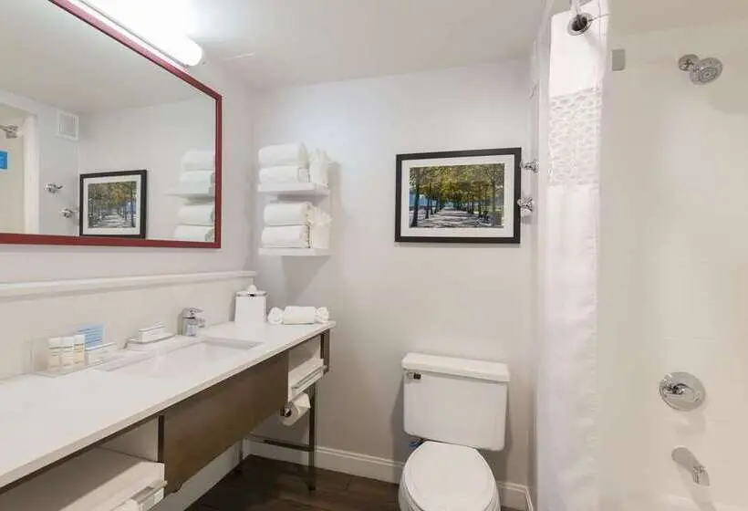 اتاق استاندارد برای معلولان, Hampton Inn Buffalo Amherst, Ny