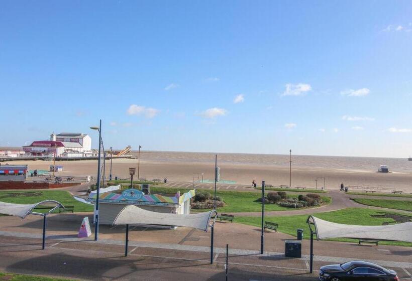 اتاق سوپریور با تخت بزرگ, Ocean