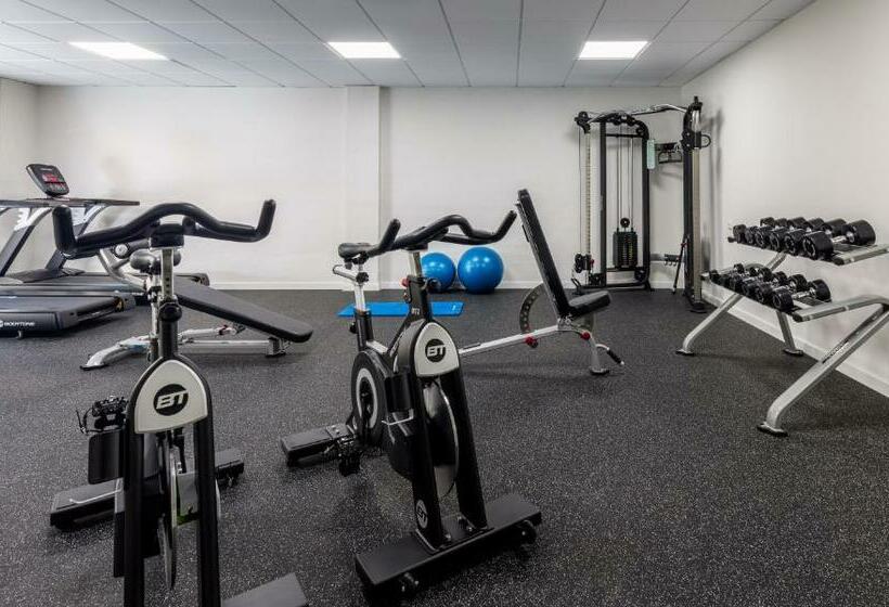 标准单人间, Ibersol Almuñecar Beach & Spa