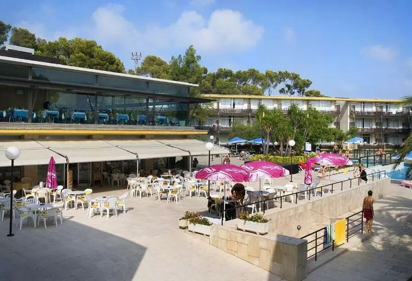 آپارتمان 1 خوابه با تراس, Aparthotel Comtat Sant Jordi