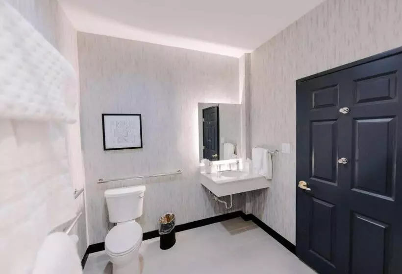 身障者適用スイートルーム, Aiden By Best Western San Antonio Riverwalk