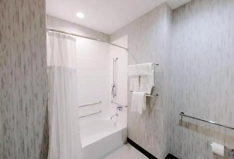身障者適用スイートルーム, Aiden By Best Western San Antonio Riverwalk
