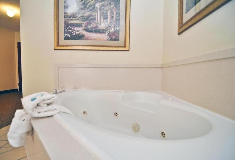 غرفة قياسية سرير كينج, Best Western Gardendale